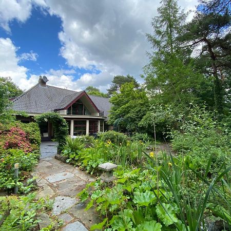 Sjieke Gezellige Villa In Het Bos Lieshout Eksteriør billede