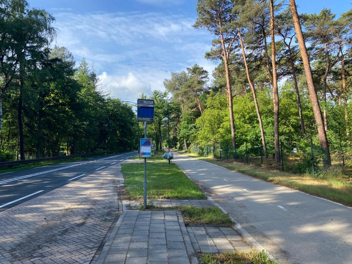 Sjieke Gezellige Villa In Het Bos Lieshout Eksteriør billede