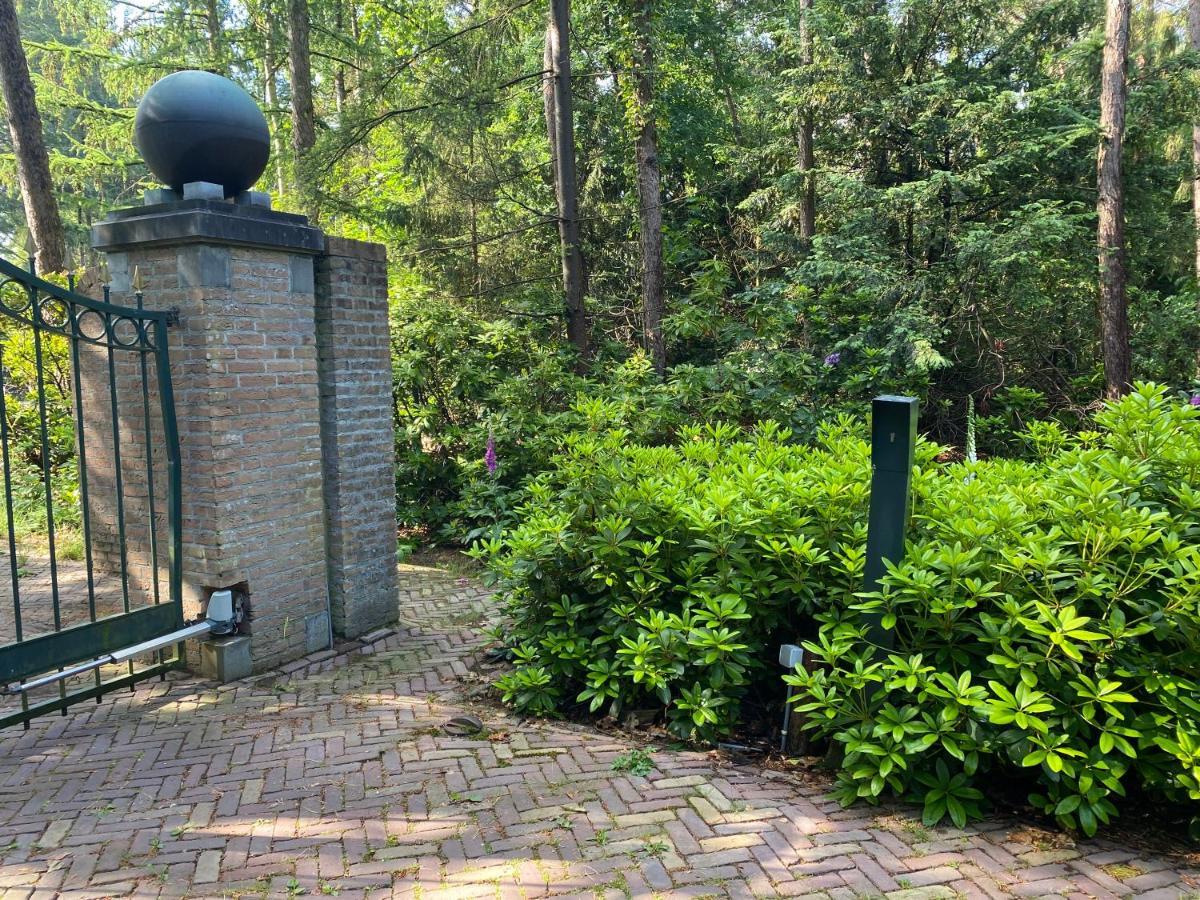 Sjieke Gezellige Villa In Het Bos Lieshout Eksteriør billede