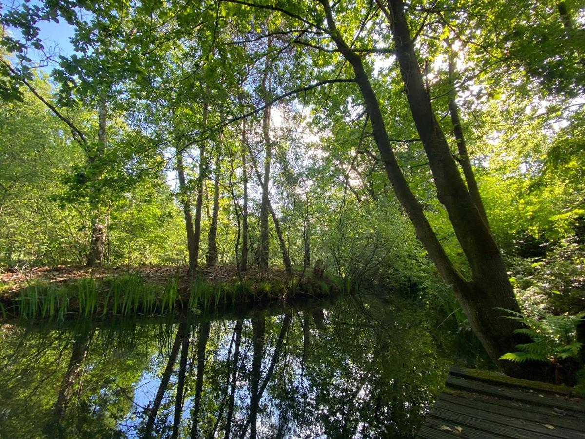 Sjieke Gezellige Villa In Het Bos Lieshout Eksteriør billede