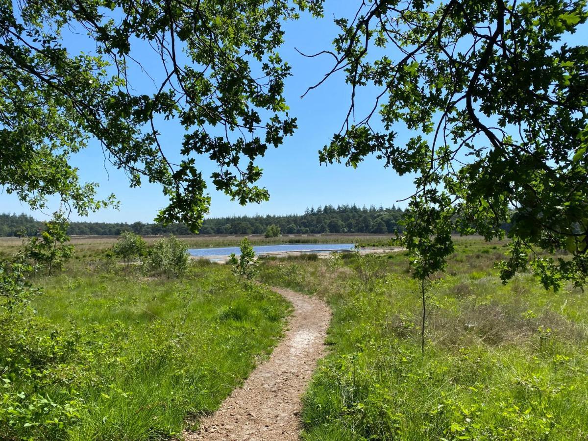 Sjieke Gezellige Villa In Het Bos Lieshout Eksteriør billede
