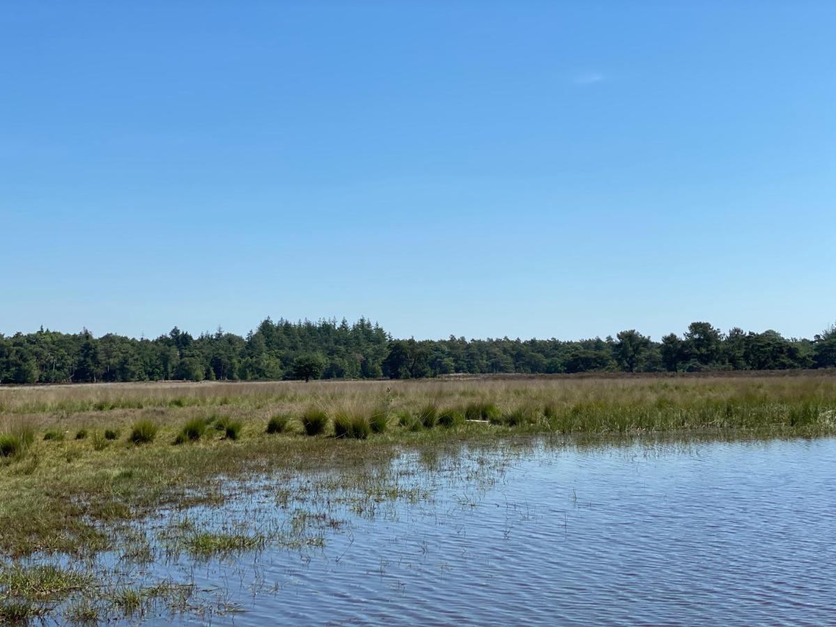 Sjieke Gezellige Villa In Het Bos Lieshout Eksteriør billede