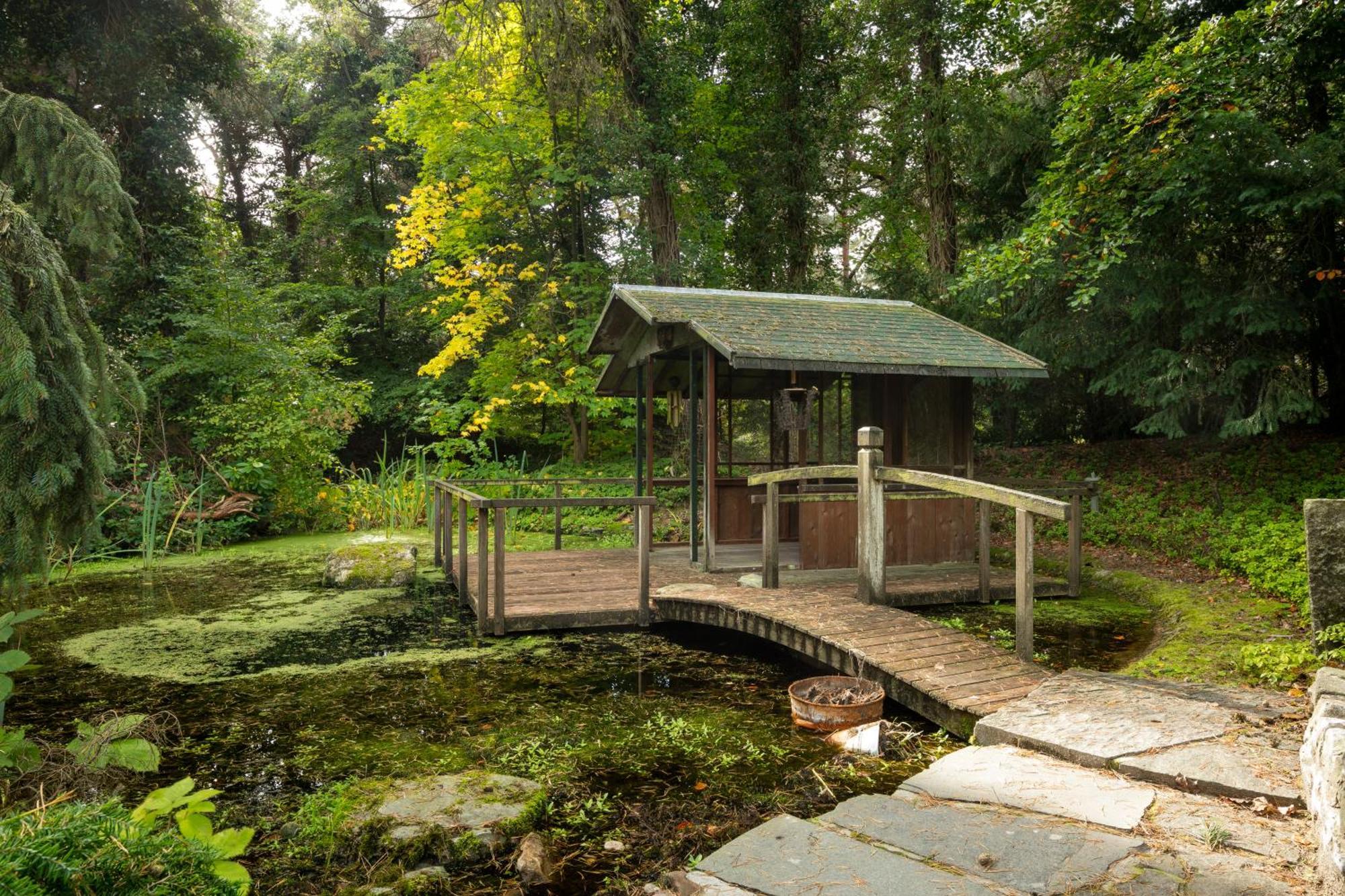 Sjieke Gezellige Villa In Het Bos Lieshout Eksteriør billede